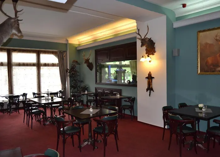 Hotel černý Orel